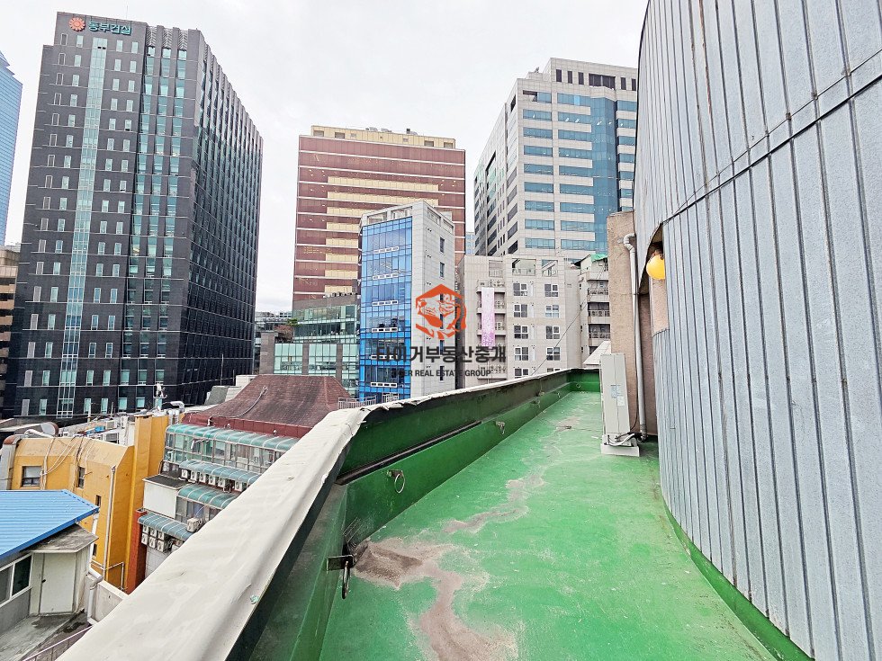 사진 15