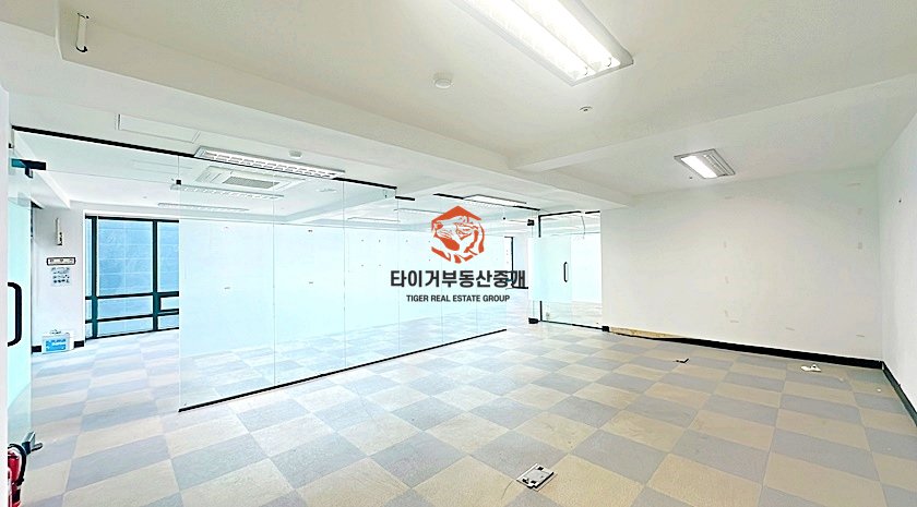 사진 9