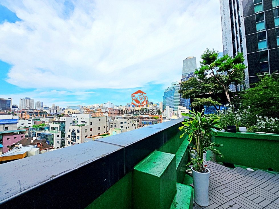 사진 10