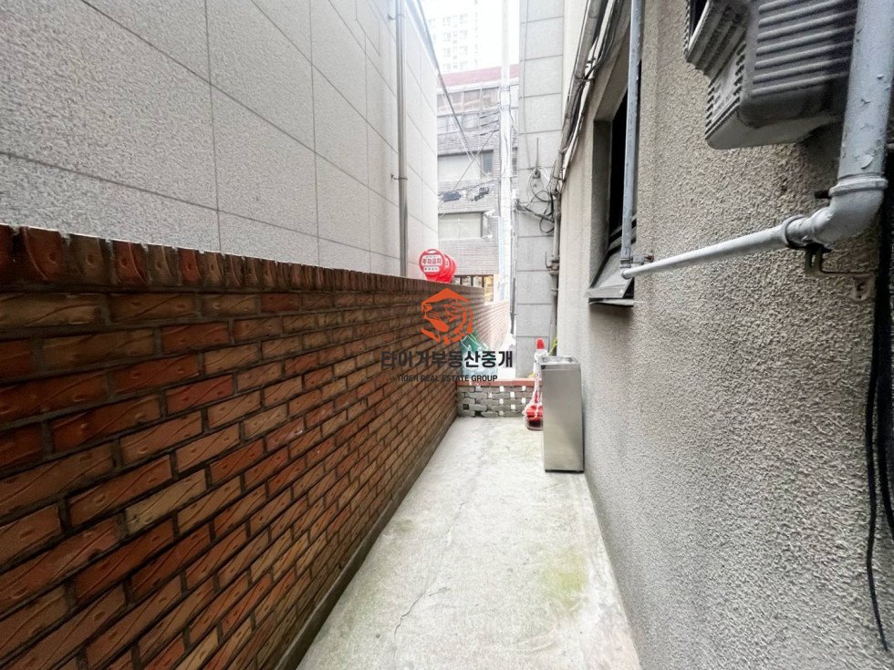 사진 9