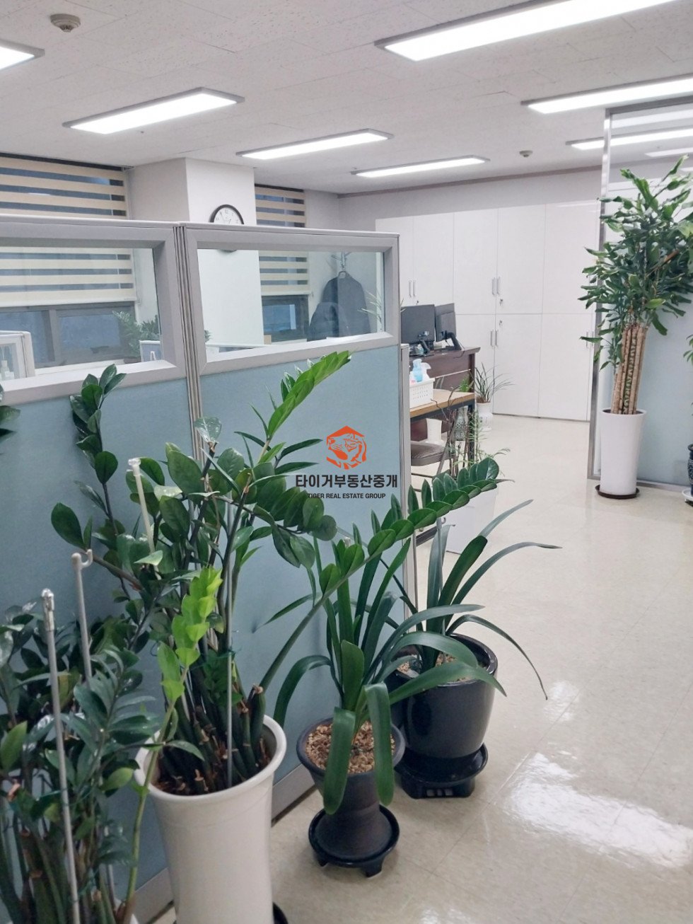 사진 3