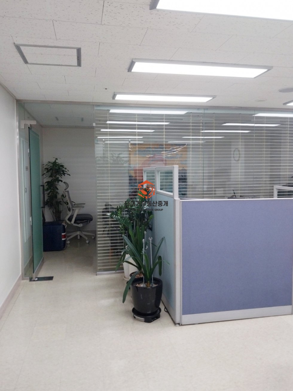 사진 5