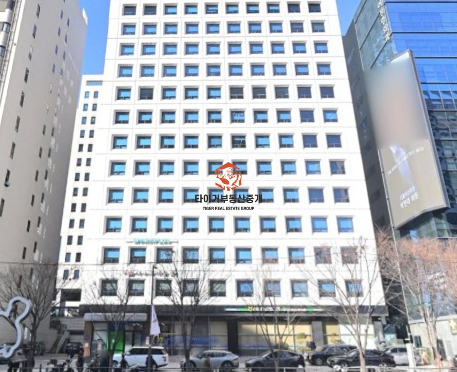 사진 7