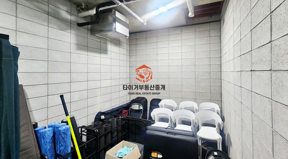 사진 6