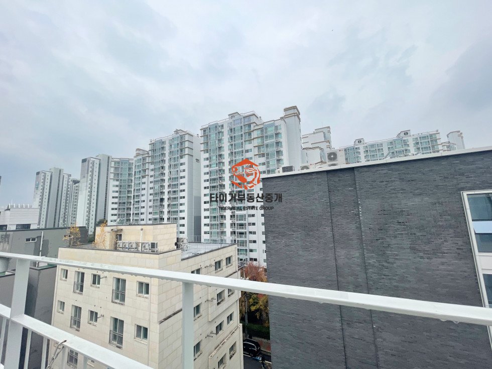 사진 9