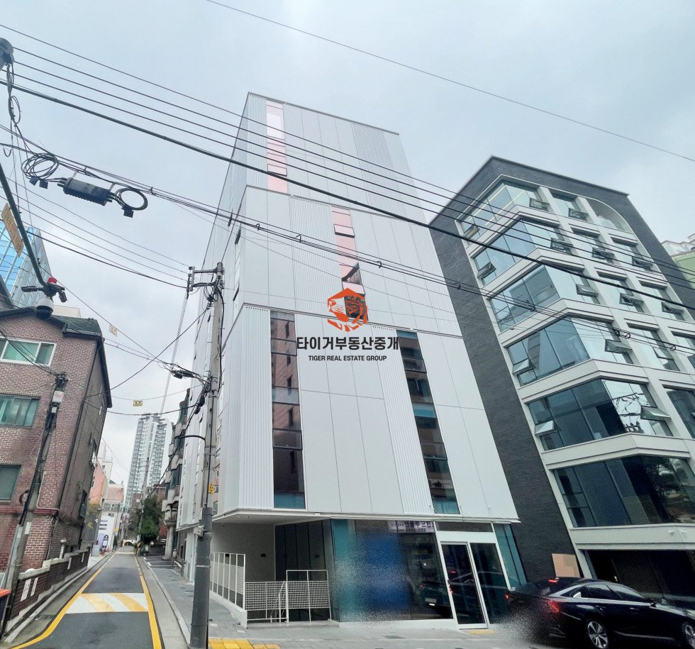 사진 12