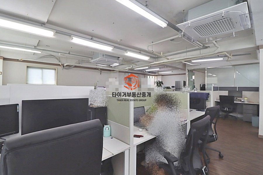 사진 5
