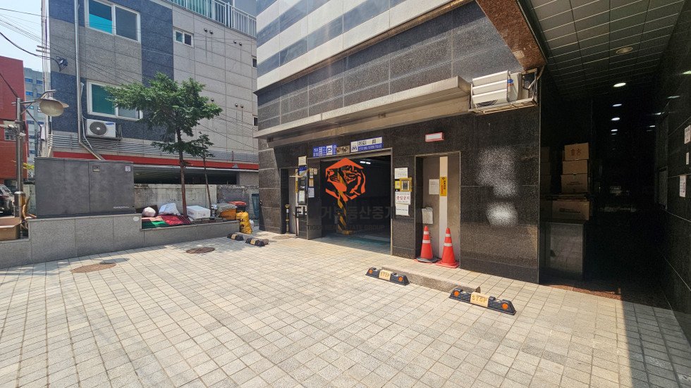 사진 12
