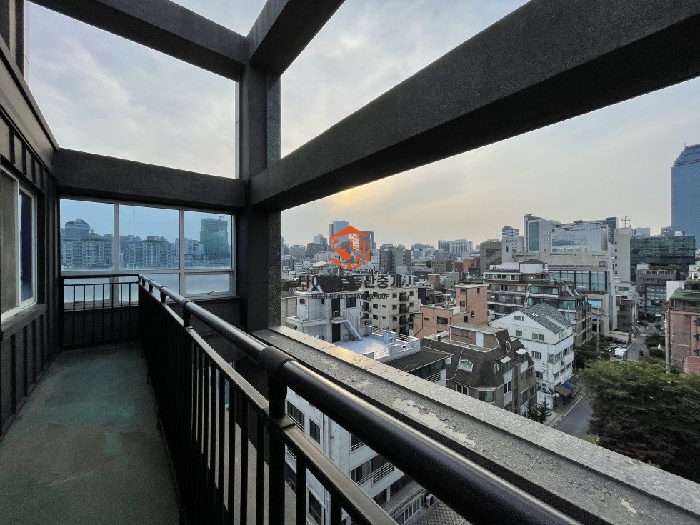 사진 12