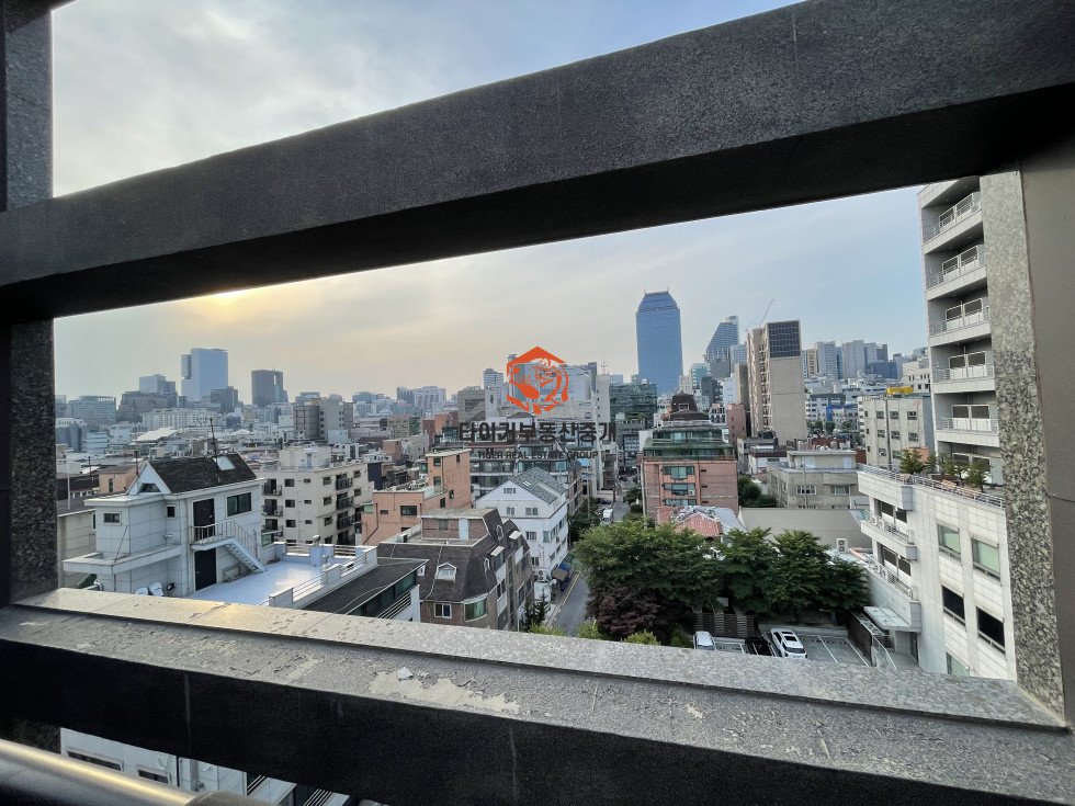사진 13