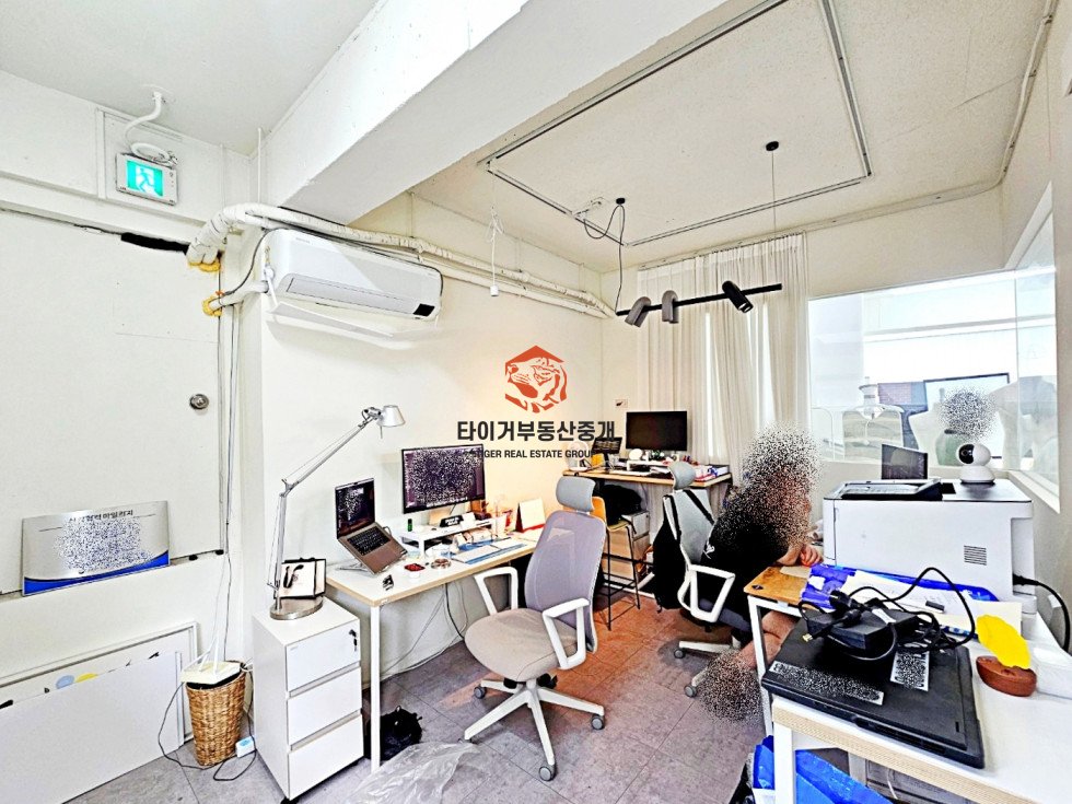 사진 5