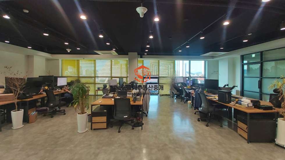 사진 6