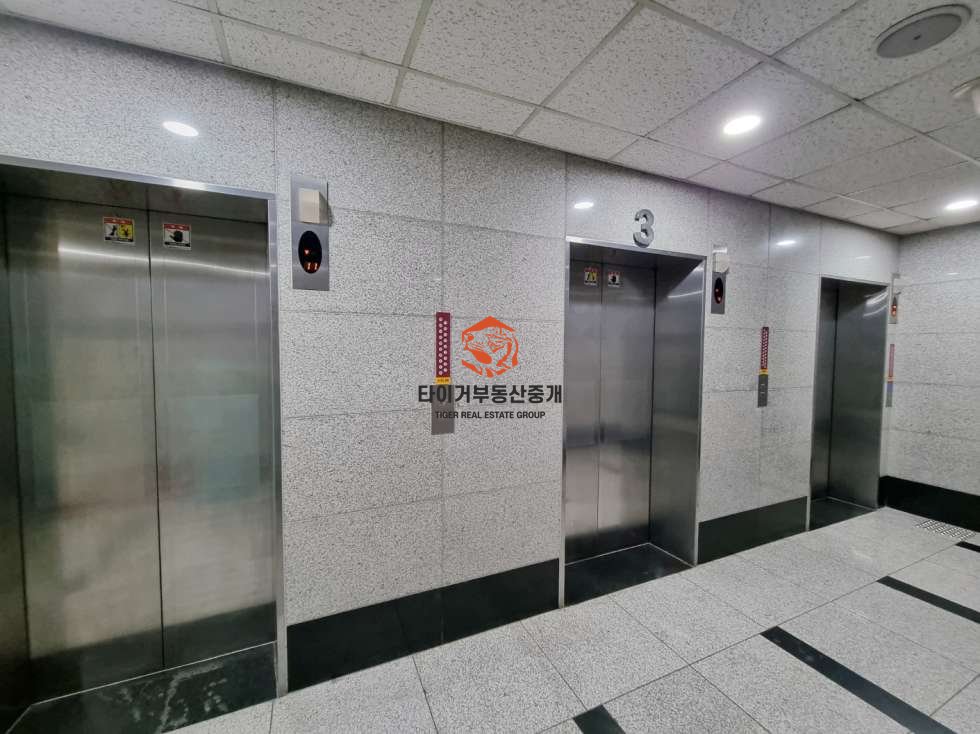 사진 10