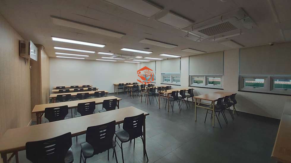 사진 6