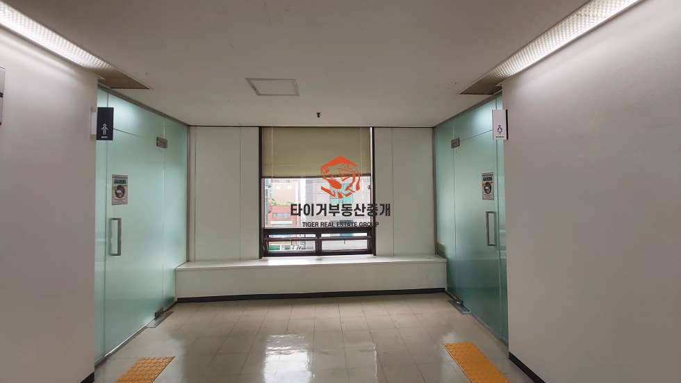 사진 6