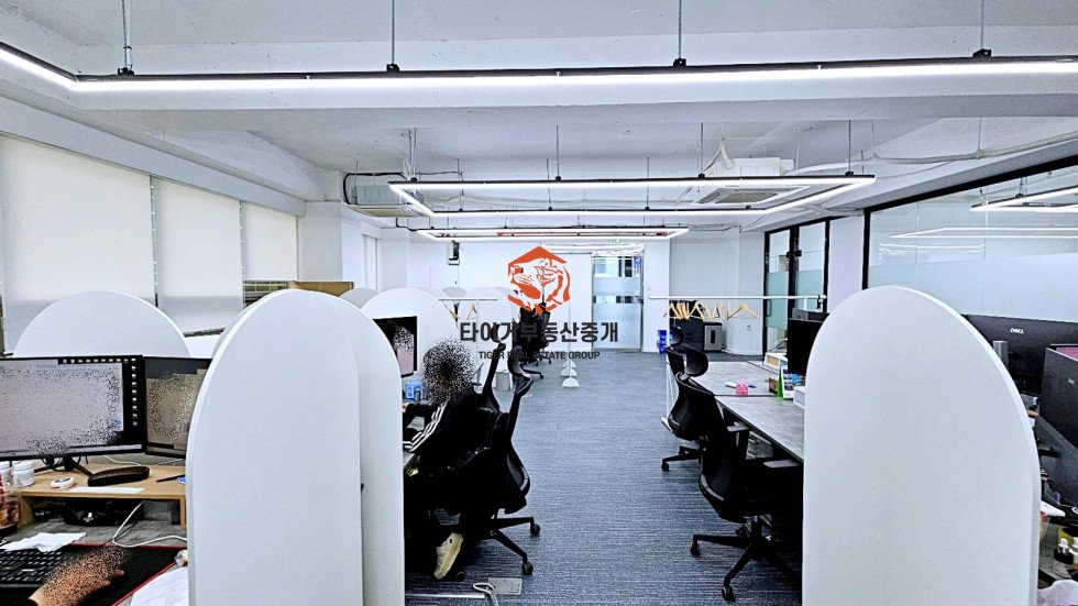 사진 6