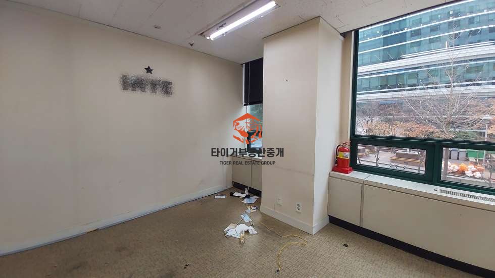 사진 3