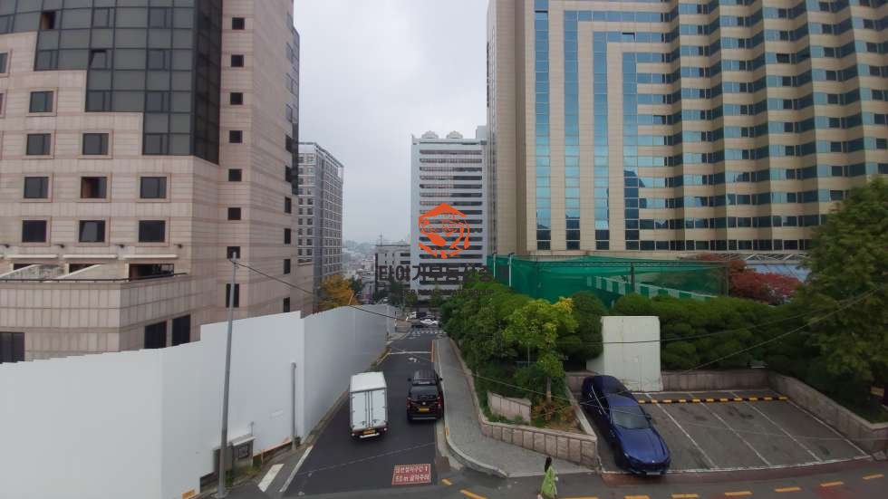 사진 9