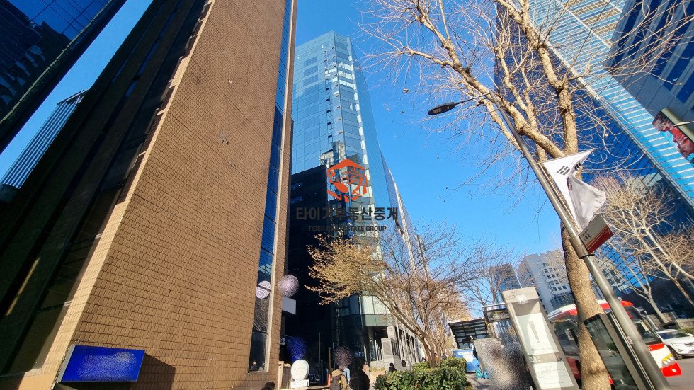 사진 5