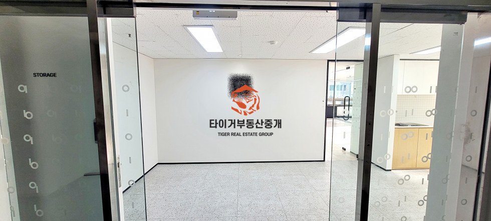 사진 11