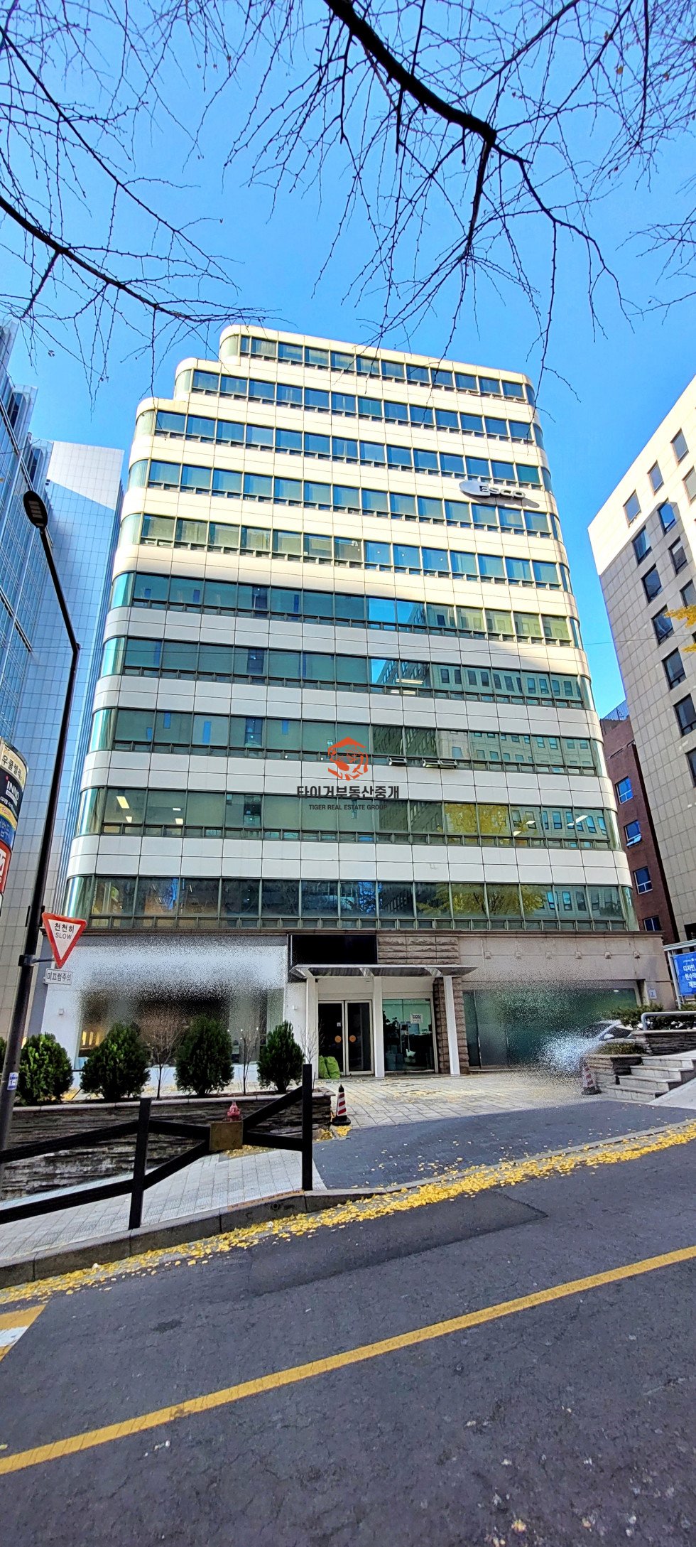 역삼동