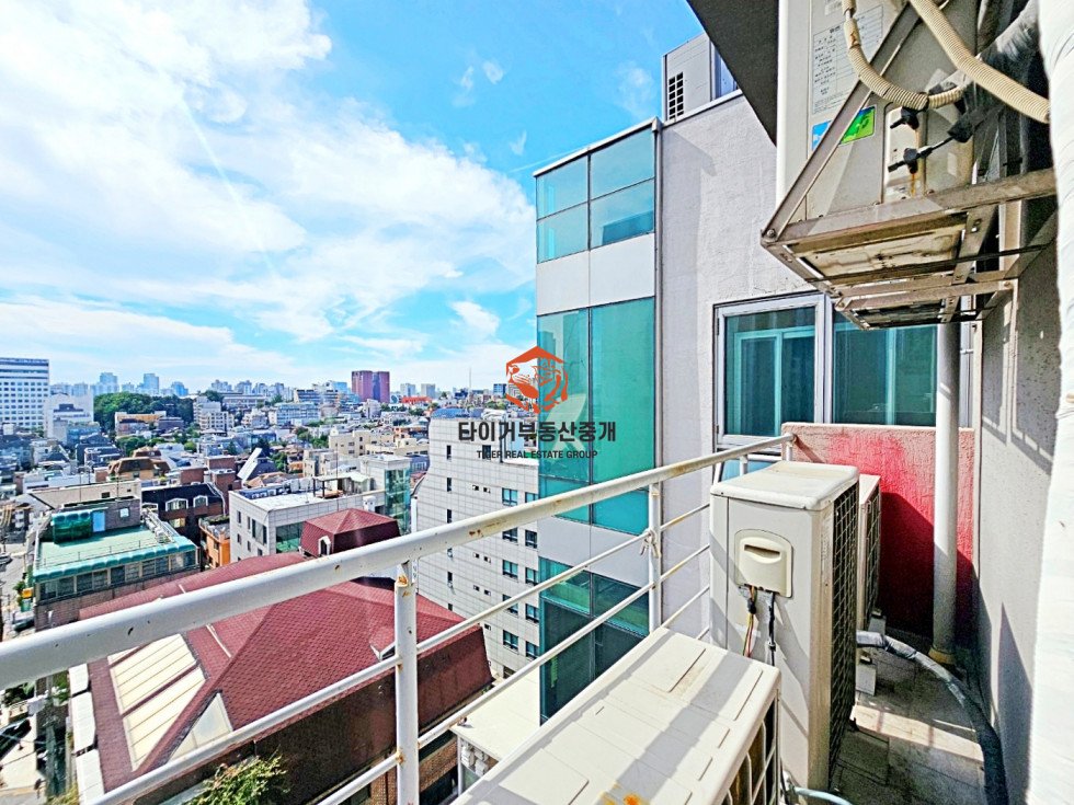 사진 9