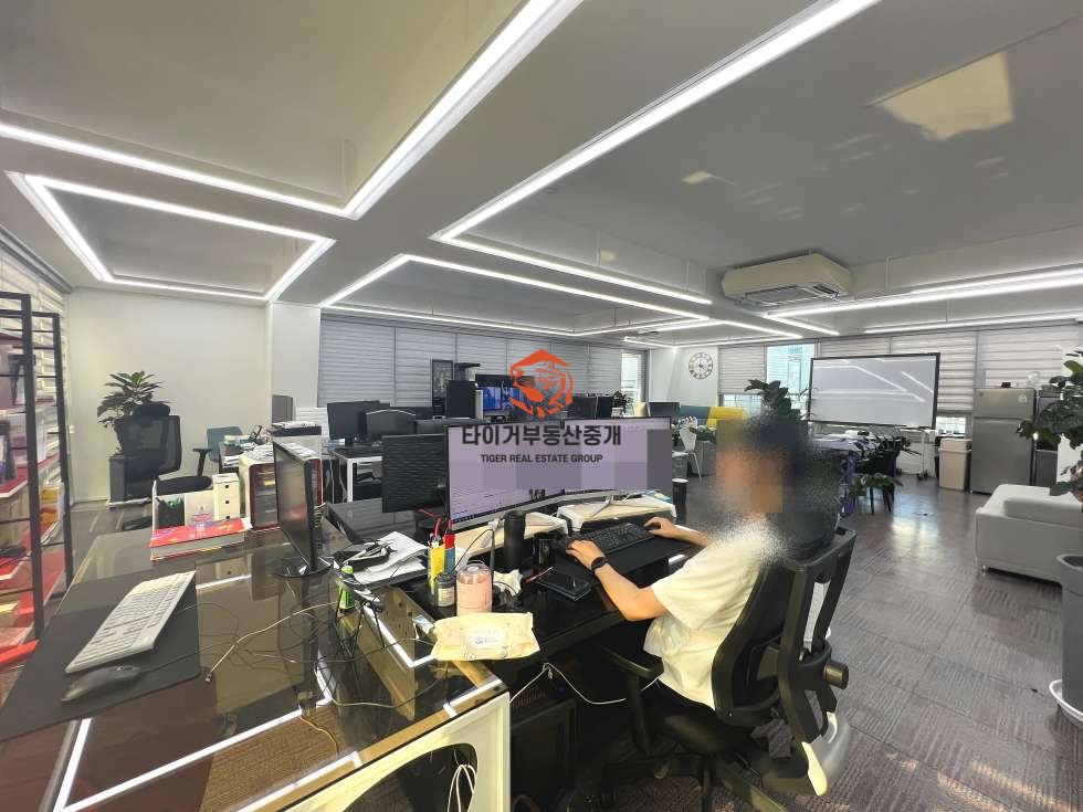 사진 9