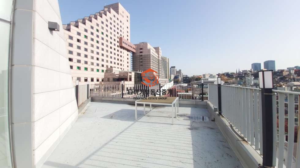 사진 10