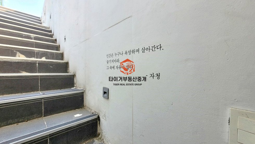 사진 7