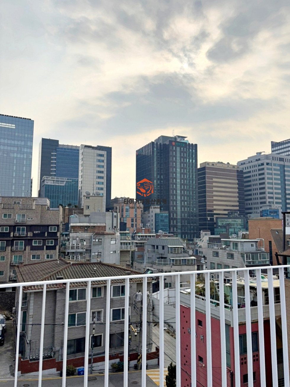 사진 9