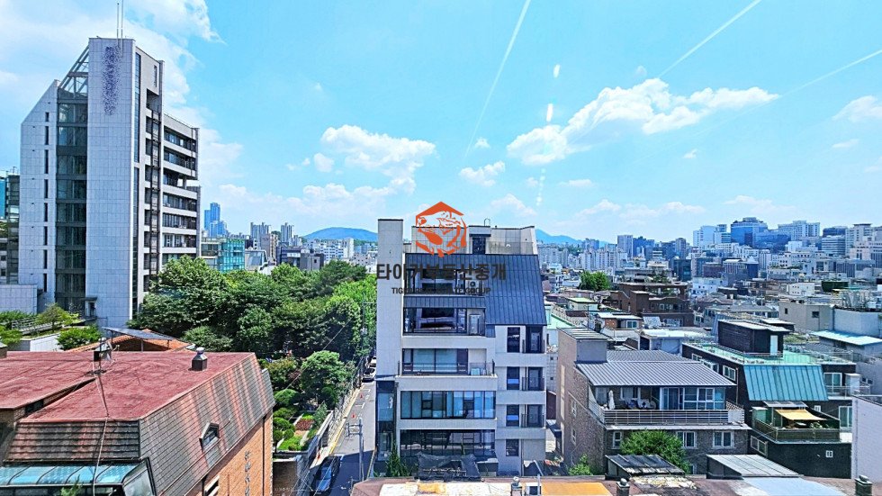 사진 20