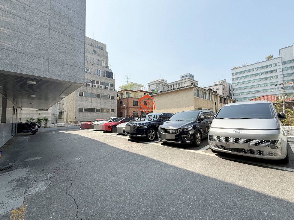 사진 10