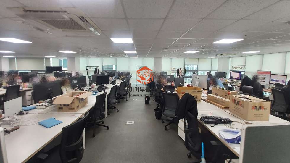 사진 12