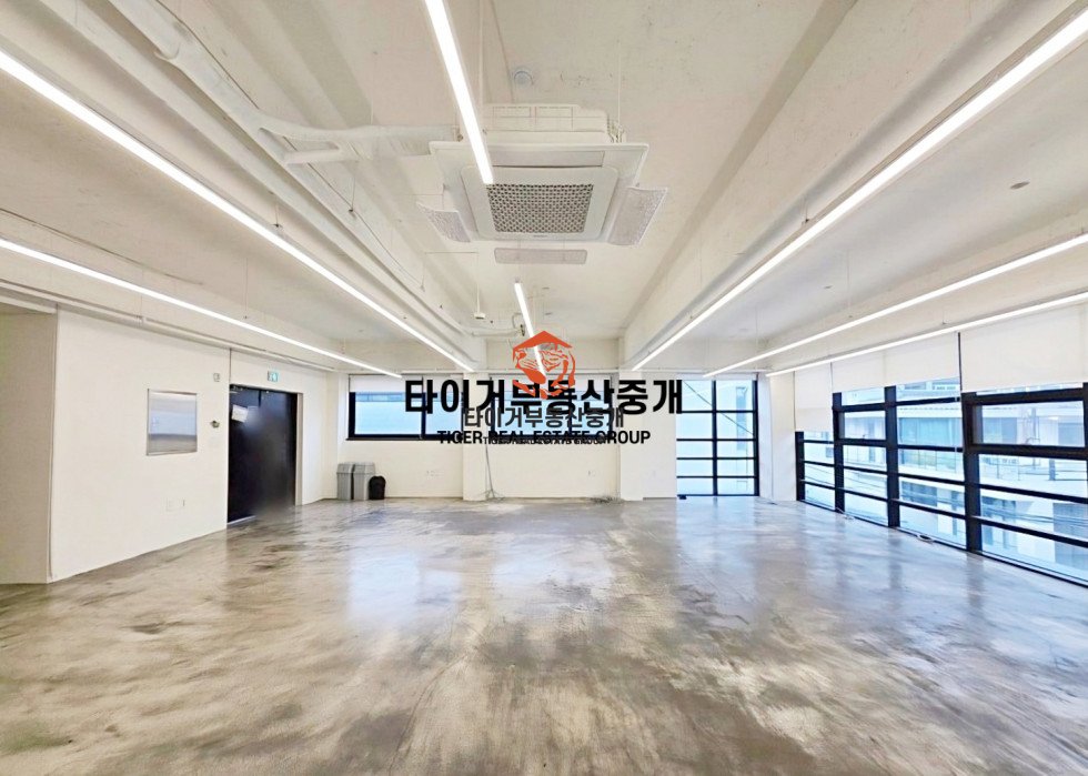 사진 4
