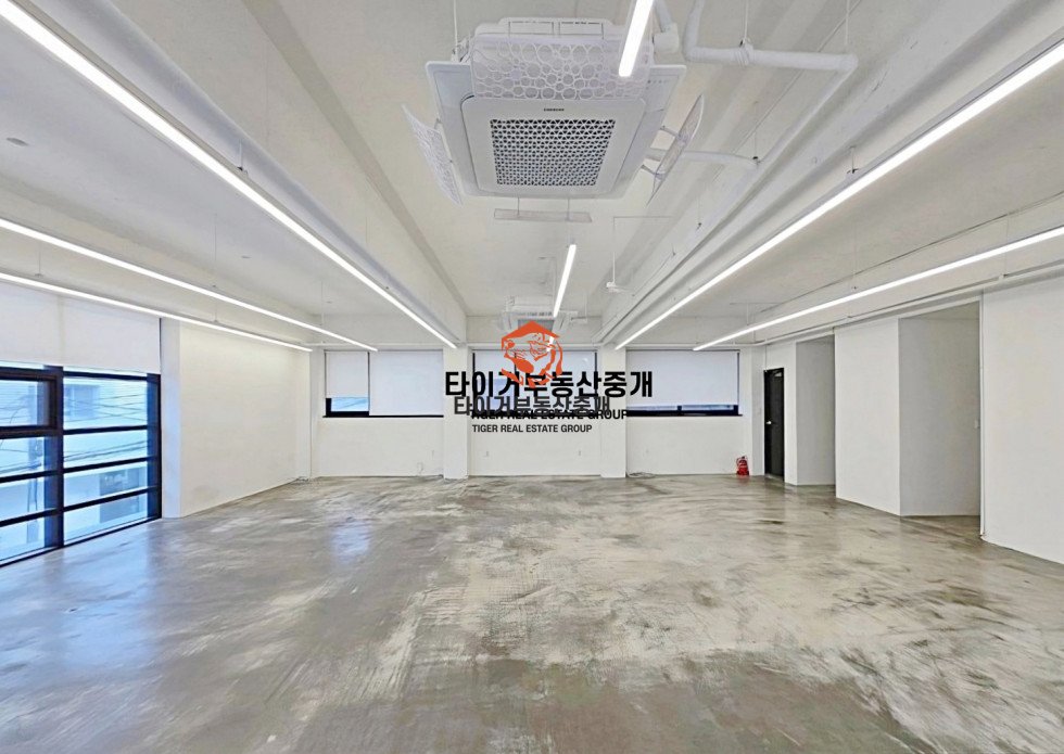 사진 5