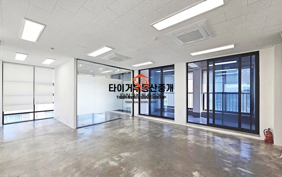 사진 6