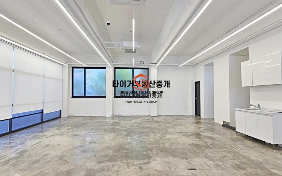 사진 8