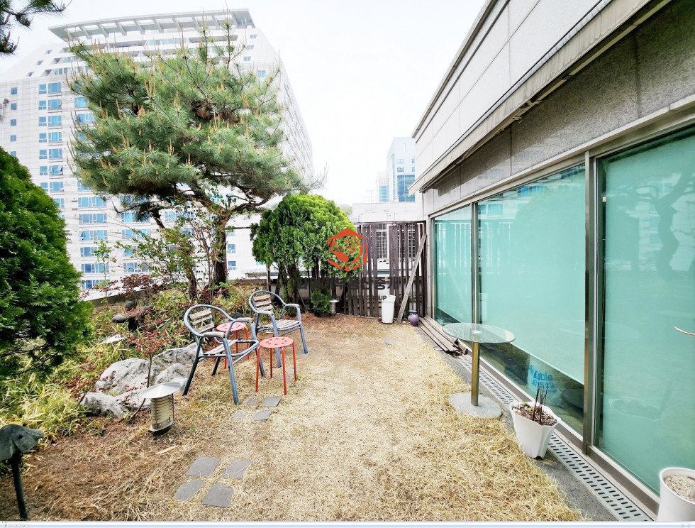 사진 9