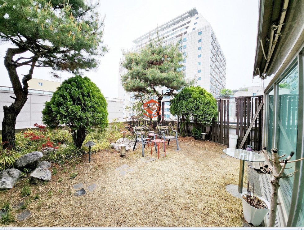 사진 10