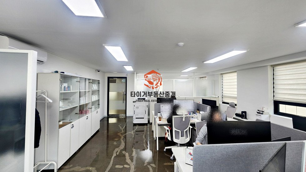 사진 5