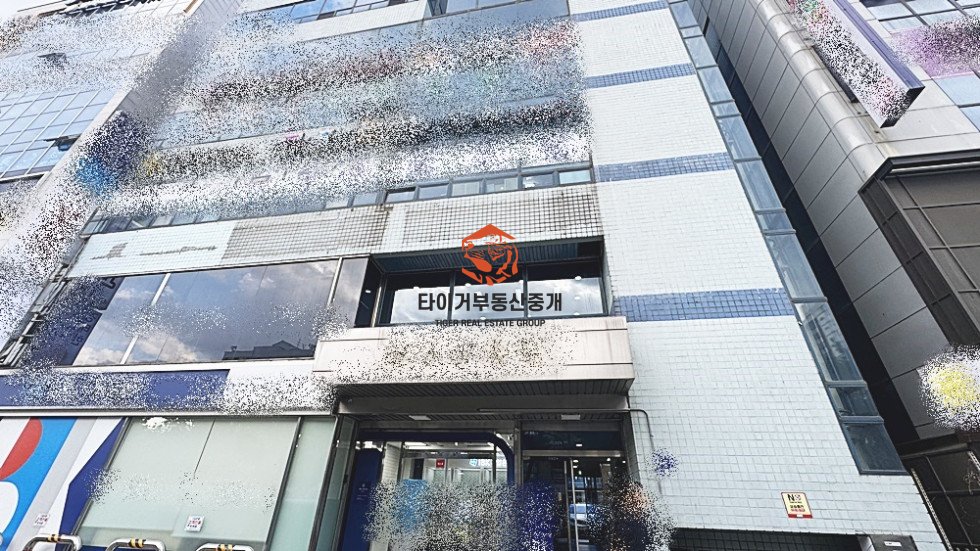 사진 9