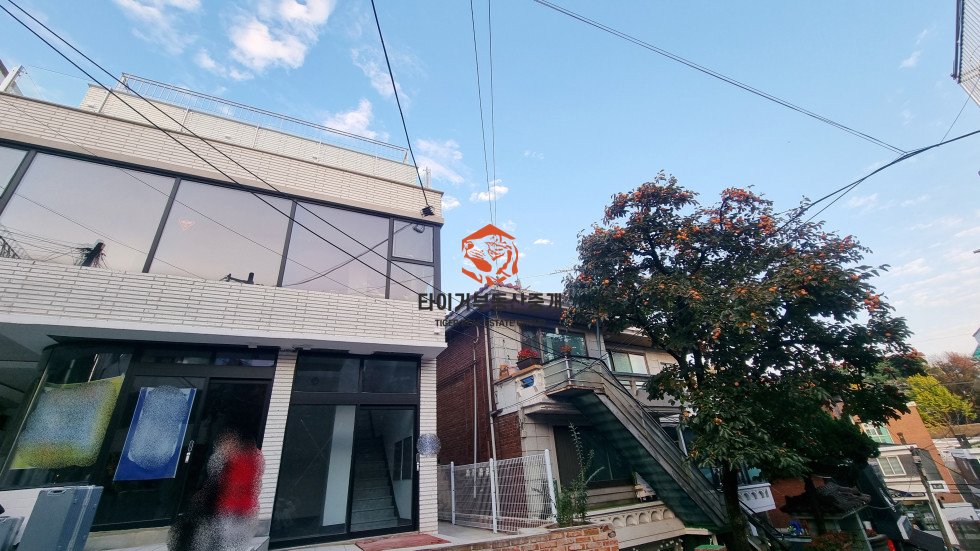 사진 9