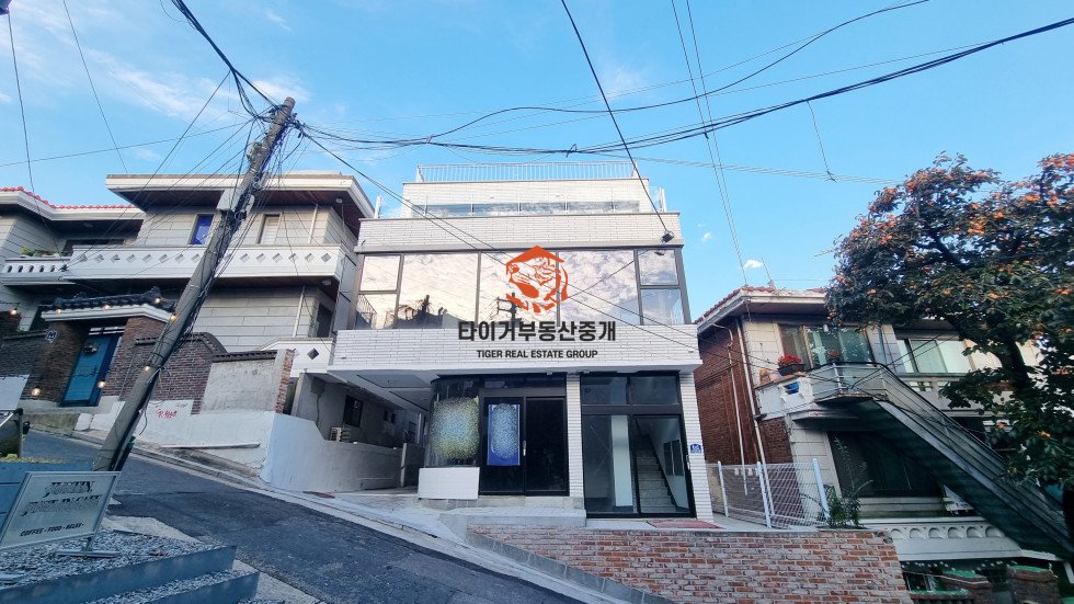 사진 10