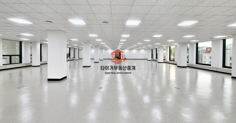 사진 6