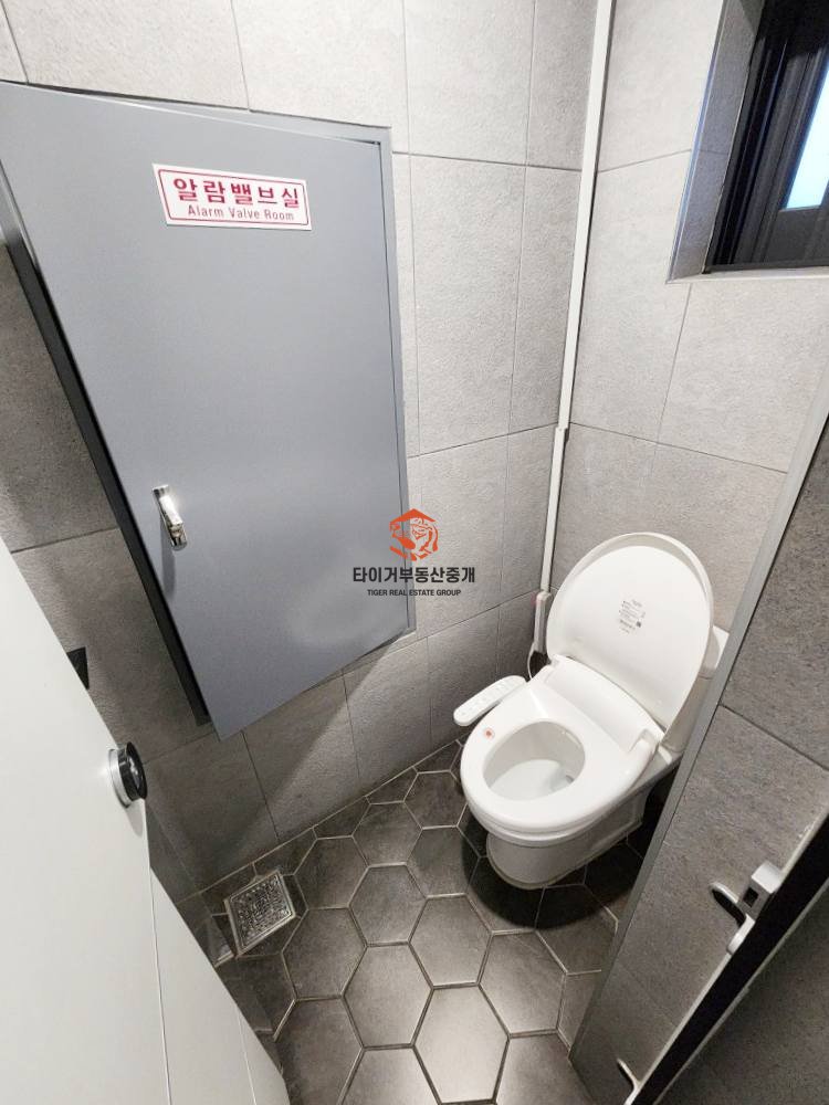 사진 11