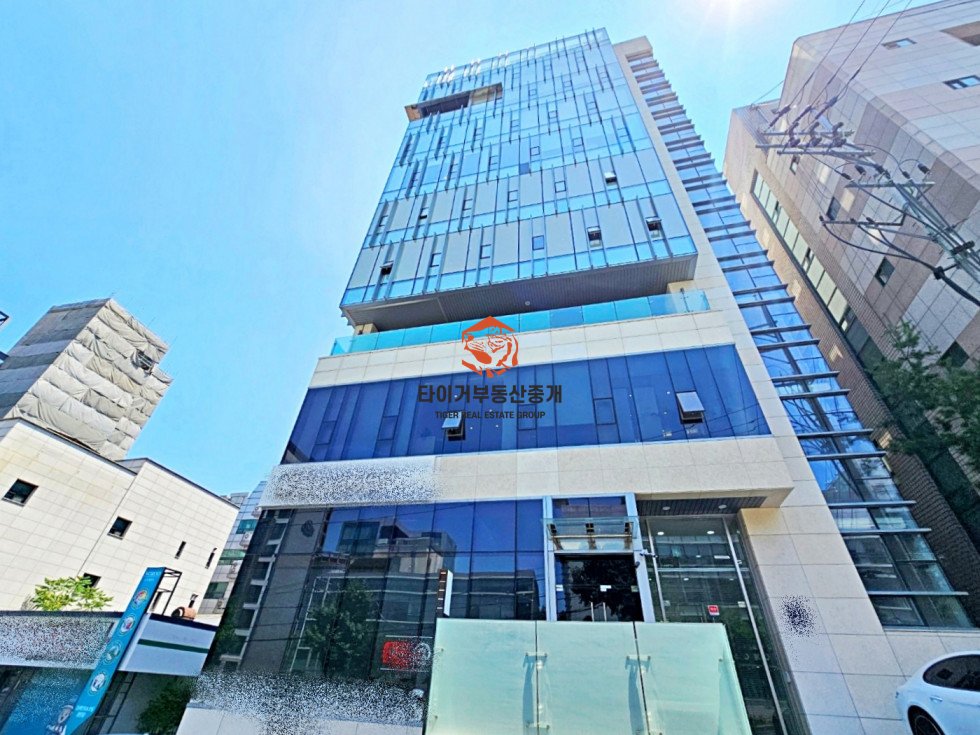 사진 13