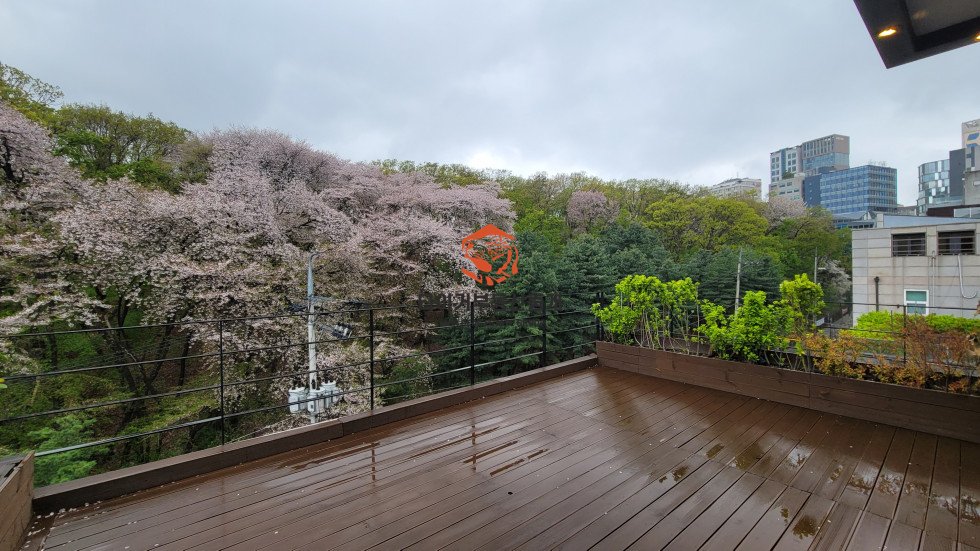 사진 2