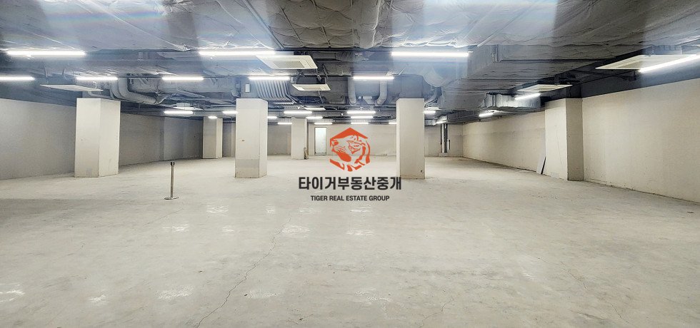 사진 8