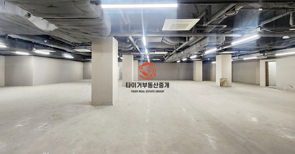 사진 9
