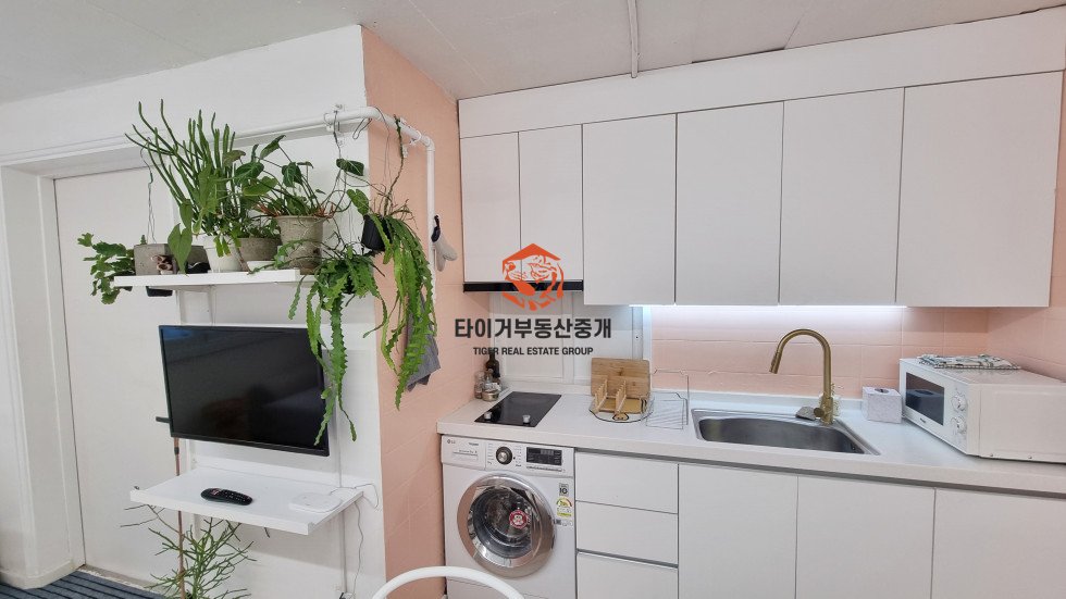 사진 2